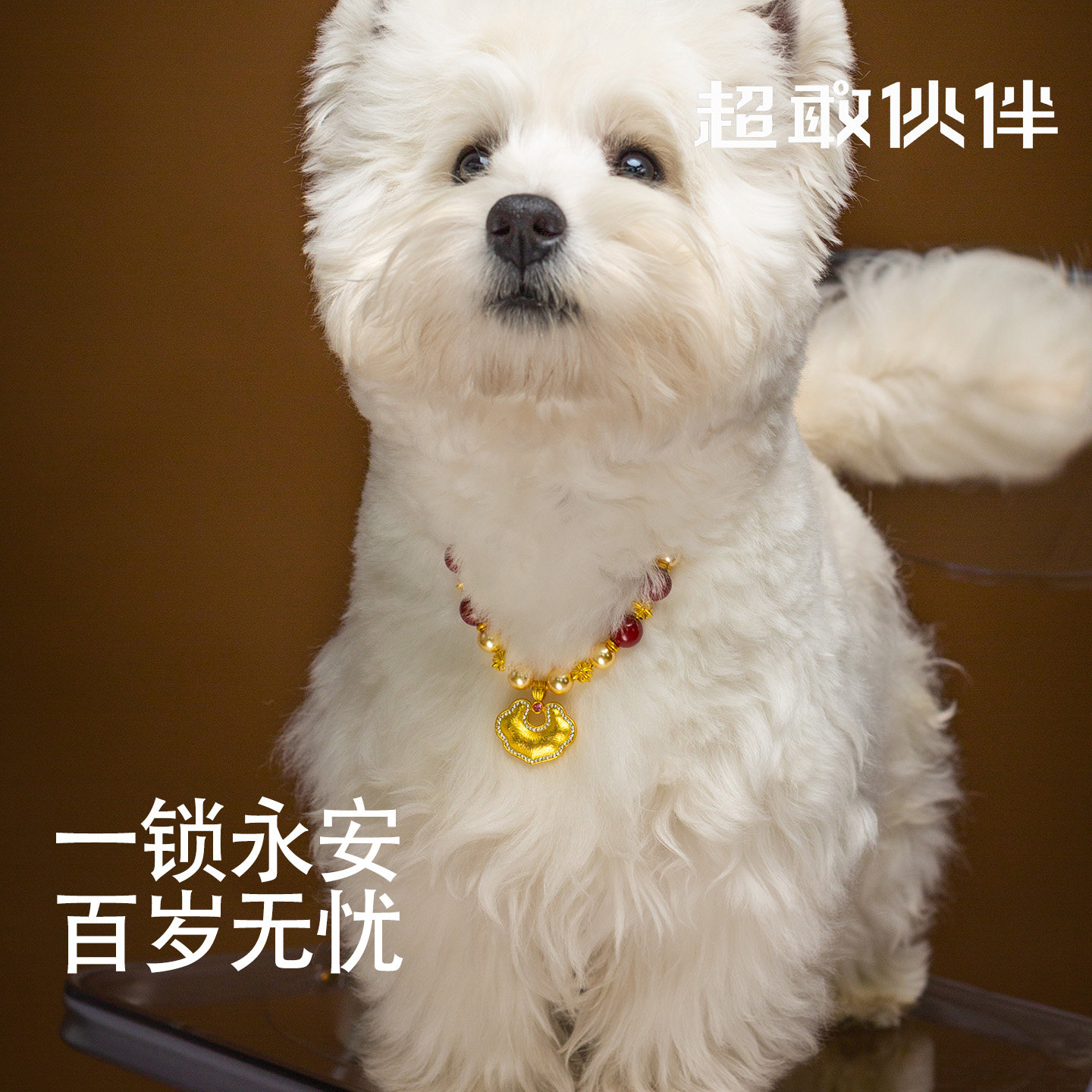 【超敢伙伴】平安锁狗狗项链珍珠复古宫廷仿猫咪吊坠比熊泰迪熊