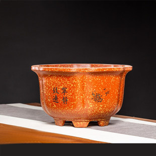 花盆大口径奎式造景榕树梅花老桩小叶紫檀绿植阳台造景