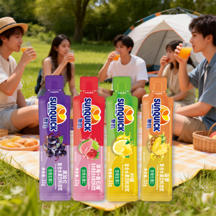 袋装 浓缩果汁小包装 新 冲泡果蔬汁饮品饮料果汁原浆菠萝 2条