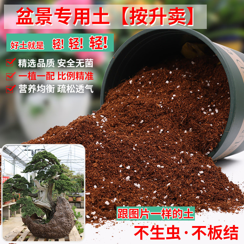 盆景专用土营养土轻质疏松透气图片