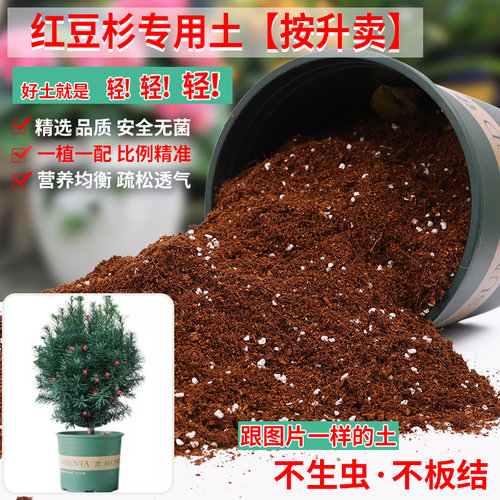 红豆杉专用土营养土轻质疏松透气