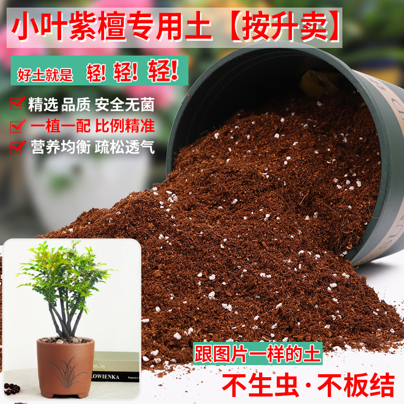 小叶紫檀专用土营养土疏松透气