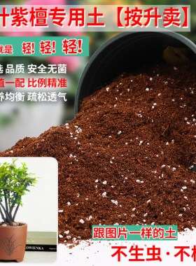 小叶紫檀专用土营养土盆栽配方盆景透气泥土壤养花种植土通用肥料