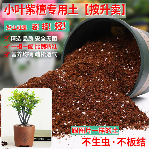 小叶紫檀专用土营养土疏松透气