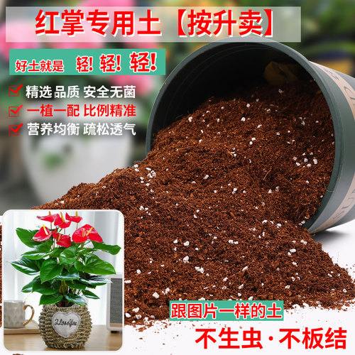 红掌专用土营养土轻质疏松透气