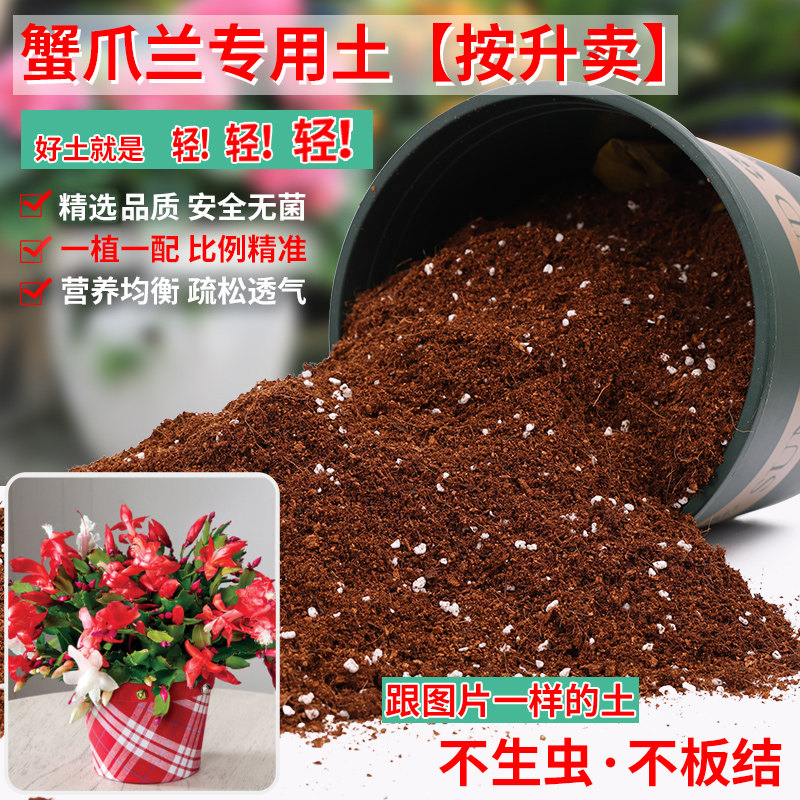 蟹爪兰专用土营养土盆栽养花种植土肥料通用种花土花卉有机营养土