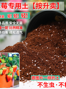 草莓专用土种草莓的营养土通用土壤草莓盆栽种植土阳台草莓苗盆土