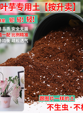 彩叶芋专用土盆栽种植专用营养土酸性椰糠泥炭土通用型有机肥料土