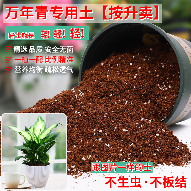 万年青专用土营养土轻质疏松透气