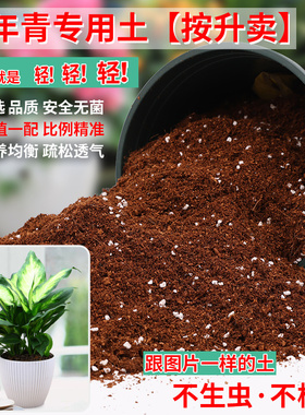 万年青专用土营养土盆栽养花土种花种植土壤通用土有机肥料颗粒土