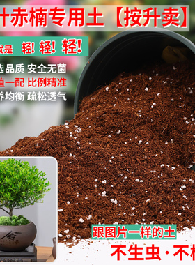 小叶赤楠专用土盆栽种植土酸性土沙性土专用营养土花肥种植有机土