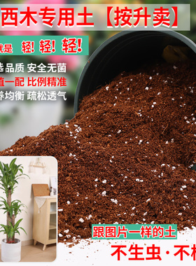 巴西木专用土养花种植专用营养土通用型椰砖盆栽有机肥料土花卉土