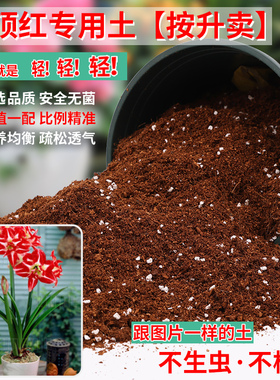 朱顶红专用土营养土种球球根植物专用土肥料土壤种植土养花专用土