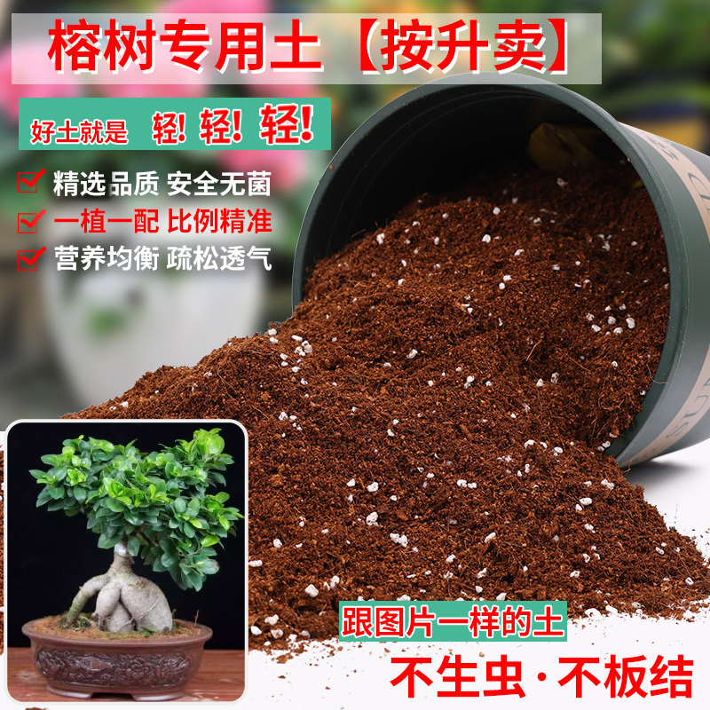 榕树专用土种植土壤盆景盆栽种花泥土专用营养土透气通用养花土壤