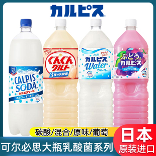 日本进口CALPIS可尔必思超大瓶装原味乳酸菌饮料碳酸苏打葡萄味