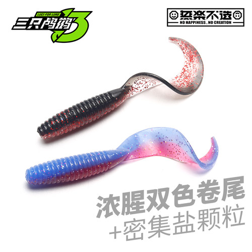 三只鸬鹚出口级双色卷尾