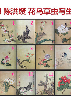 明陈洪绶花鸟草虫写生A3A4彩图