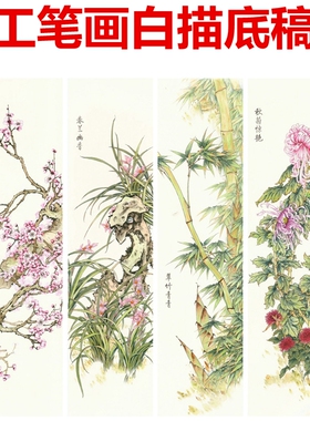 梅兰竹菊四条屏工笔画画花鸟