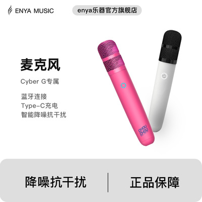 恩雅赛博吉他CyberG专用无线麦克风蓝牙话筒