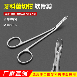 臼齿剪宠物动物组织牙龈剪口腔器械宠物啮齿类臼齿剪磨牙爪修剪刀