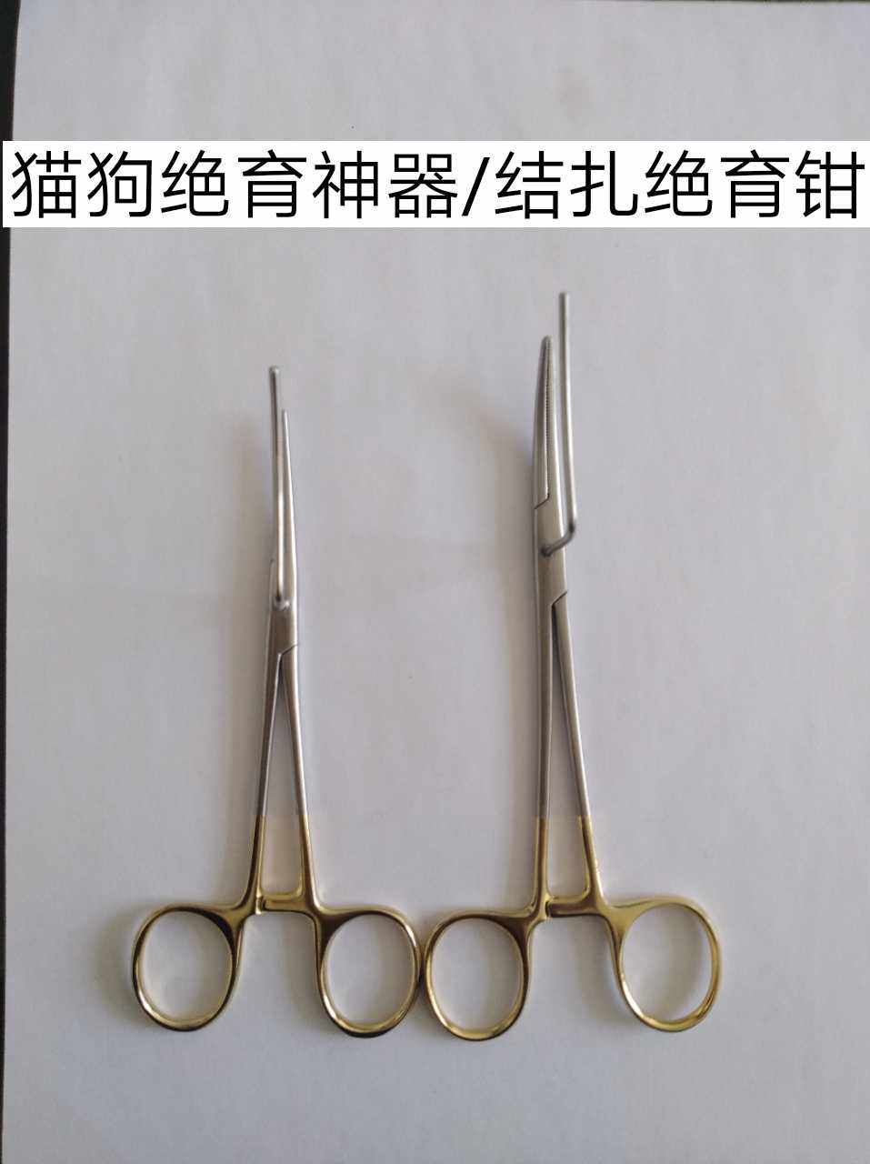 绝育宠物单人手术固定结扎