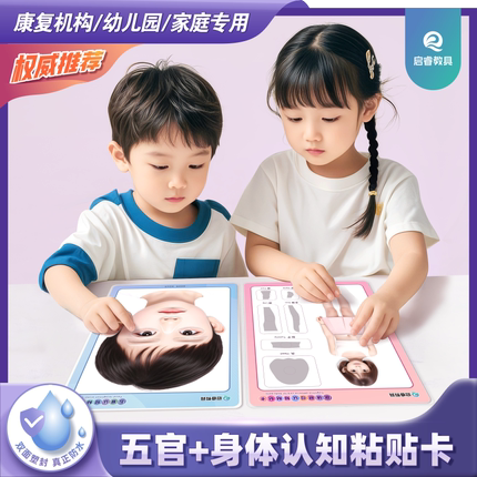 儿童贴五官教具身体部位贴纸认知粘贴卡幼儿园小班益智区玩具材料