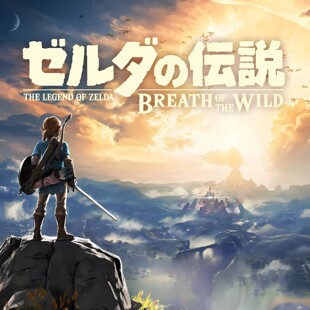 塞尔达传说荒野之息 中文 下载 港版 任天堂switch游戏NS下载