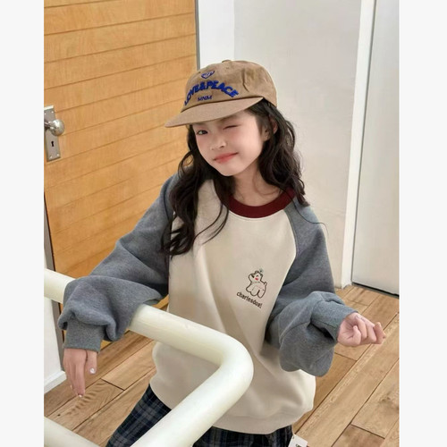 YL 880355 刺绣小狗插肩袖一体绒圆领卫衣