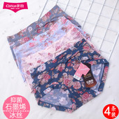 彩田女内裤 冰丝高腰31301中腰31299莫兰迪石墨烯抗菌养护搭档内裤