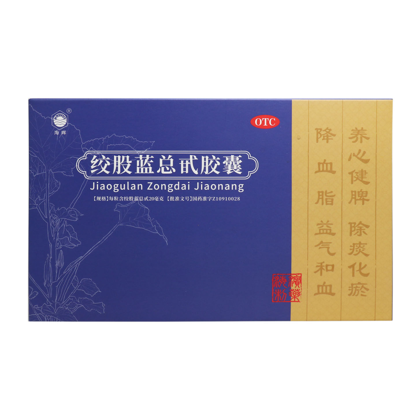 海晖绞股蓝总甙胶囊 20mg*30粒*2瓶/盒降血脂用于高血脂症