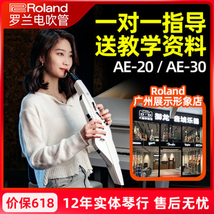 AE20 roland罗兰电吹管 AE30 中老年人娱乐 电子萨克斯葫芦丝吹管