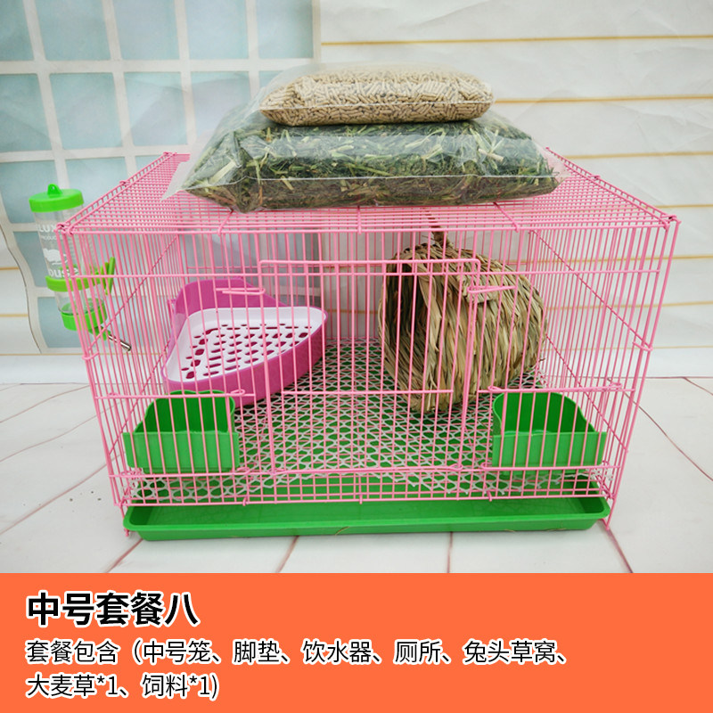 荷兰猪豚鼠天竺鼠兔子外带笼养殖