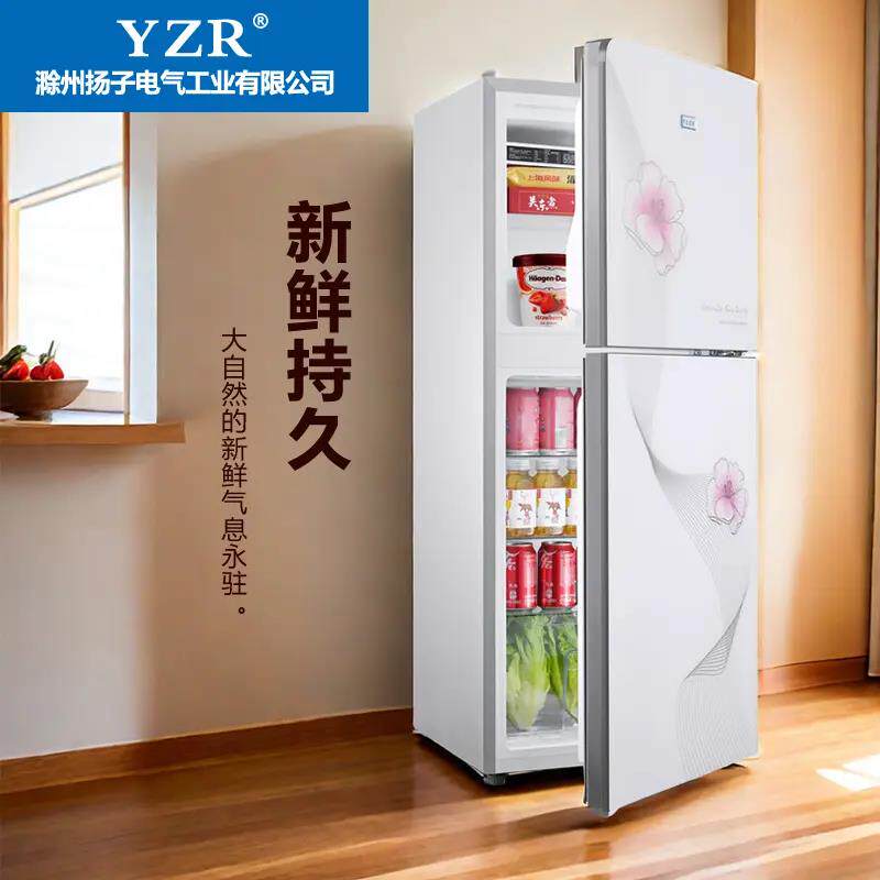 直冷省电小型电冰箱家用双开门节能超薄大容量白色一级能效冷冻柜