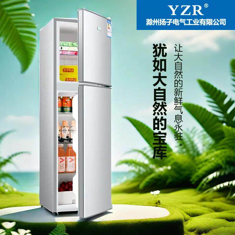 家用双门冰箱小型出租房便宜冷藏冷冻制冰大型一级能效静音3人用2
