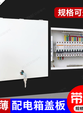 带锁无底镂空电箱PZ30盖板防护罩外壳门板金属材质白色刚性防护盒