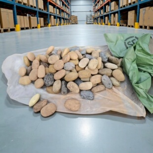 高密度泡沫石头定制道具仿真鹅卵石造景摆设橱窗摆设舞台演出影视