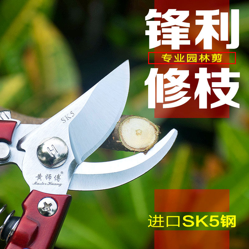 黄师傅修枝剪刀SK5粗枝剪果树园林园艺剪花枝剪刀家用省力树枝剪图片