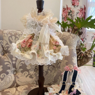 宠物狗狗衣服猫咪公主裙泰迪比熊博美小型犬洛丽塔裙子