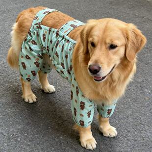 宠物衣服狗狗防脏腿裤 长毛大型犬巨贵 户外防尘防尿防脏腿裤