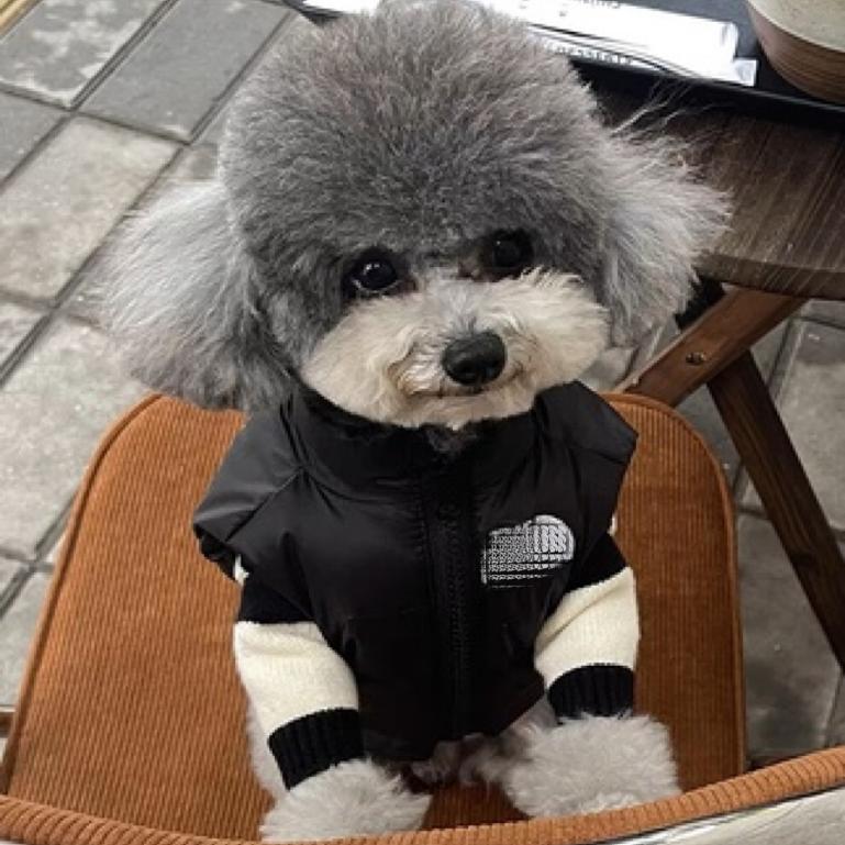 秋冬款小狗狗衣服宠物棉服马甲鹿犬法斗柴犬柯基泰迪博美冬天