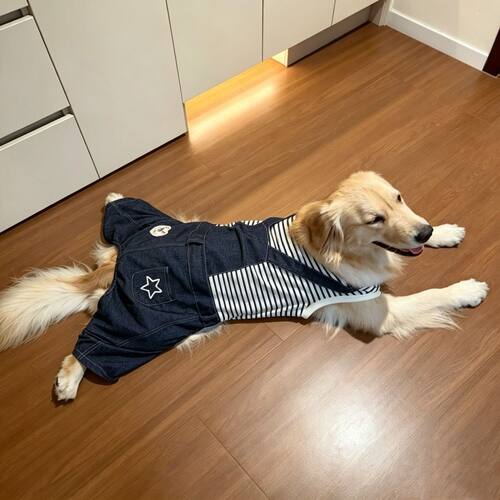 中大型犬狗狗牛仔背带裤连体金毛拉布拉多条纹四脚衣春秋大狗衣服