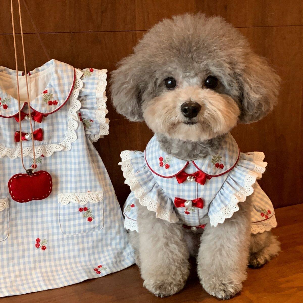 宠物衣服复古蓝格纹小洋裙韩系蕾丝飞袖狗狗猫咪洋气公主裙