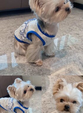 比心宠物狗狗衣服背心春秋薄款猫猫咪博美比熊小型幼犬泰迪春夏天