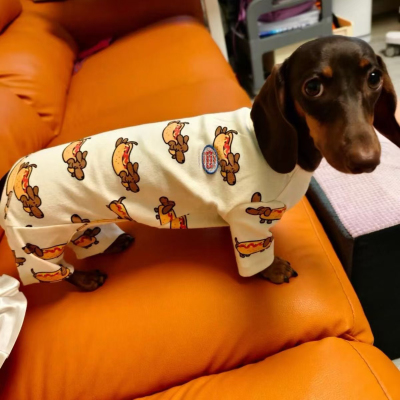 腊肠防寒打底秋冬款宠物猫咪加厚保暖狗狗衣服小型犬护肚子网红