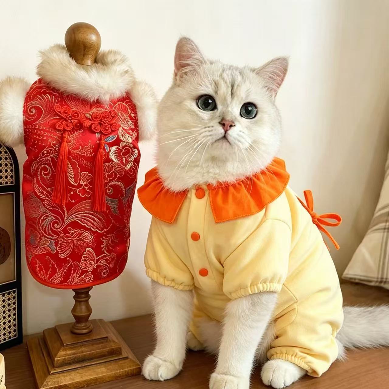猫咪衣服秋冬护肚子全包肚防着凉保暖防掉毛幼猫小猫四脚全包睡衣图片