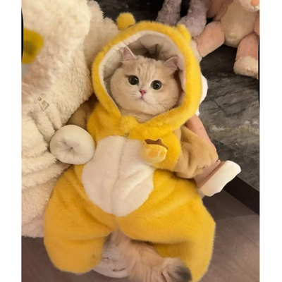 可爱小蜜蜂猫咪衣服秋冬季新款加厚四脚衣泰迪狗狗小型犬宠物衣服