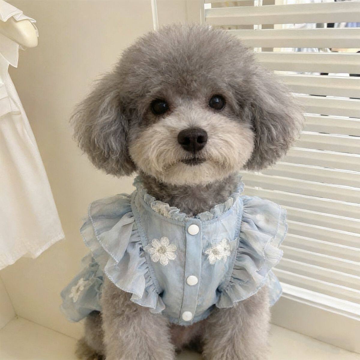 新款狗狗裙子春夏季薄款透气泰迪比熊飞袖公主裙宠物小型犬狗衣服