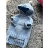 宠物衣服秋冬狗狗猫咪毛衣宠物编织毛线两脚衣泰迪博美幼犬毛衣