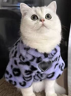 紫色小豹纹~冬季厚毛绒宠物保暖卫衣 猫咪狗比熊泰迪棉衣