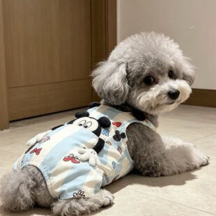 宠物衣服夏季薄款连体裤狗狗猫咪可爱洋气立体卡通拥抱背带裤